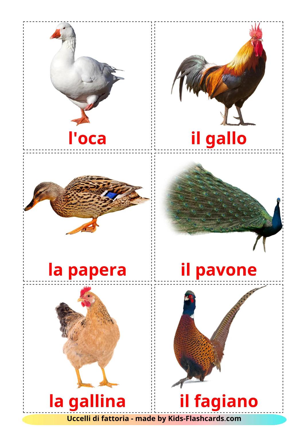 Les Oiseaux de Ferme - 12 Flashcards italien imprimables gratuitement