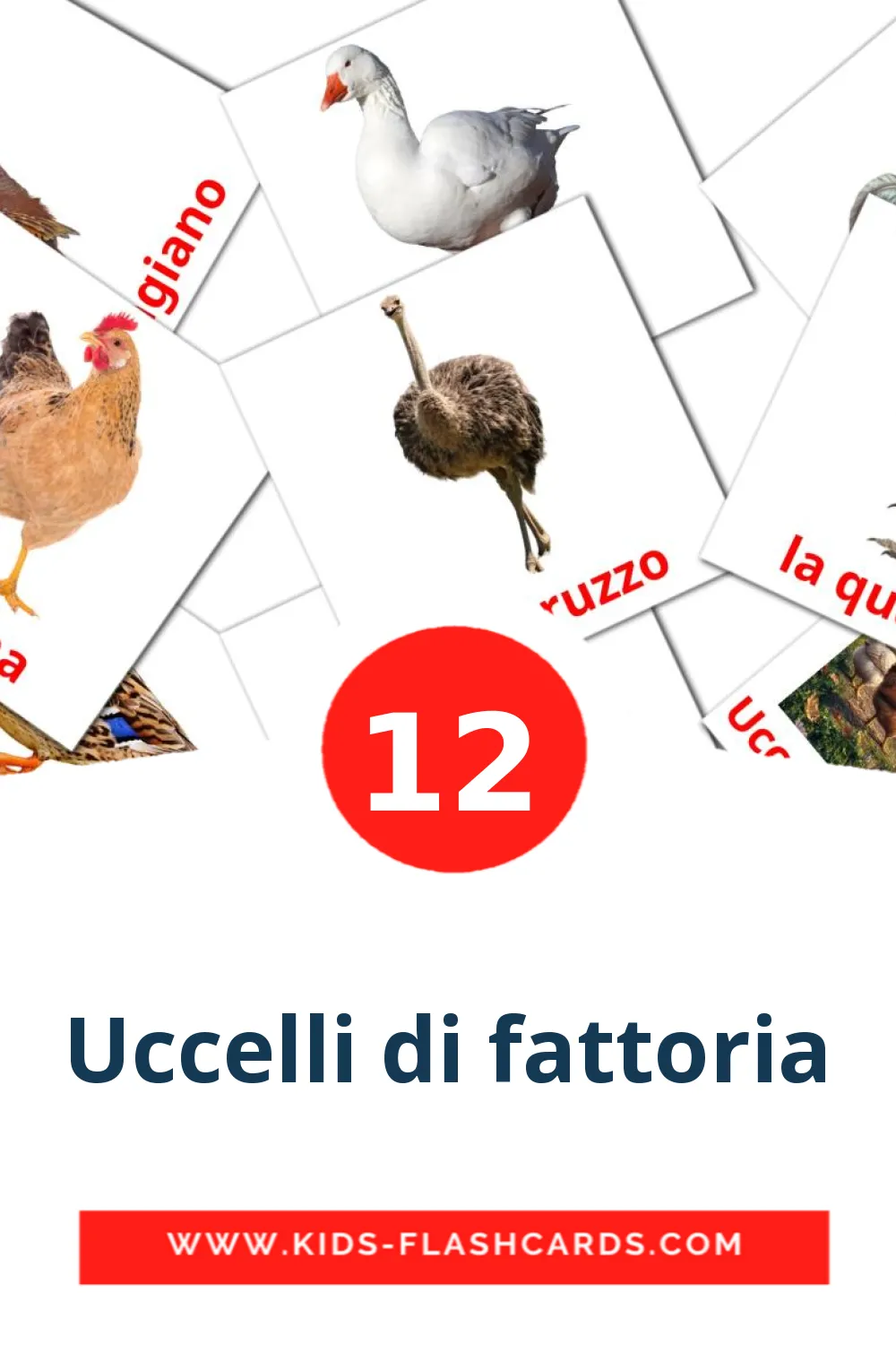 12 cartes illustrées de Uccelli di fattoria pour la maternelle en italien