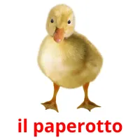 il paperotto cartes flash