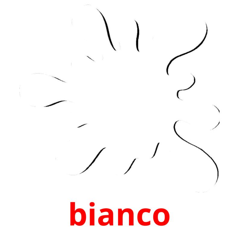 bianco picture flashcards