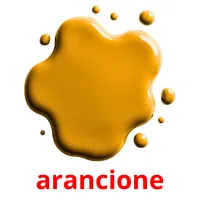 arancione flashcards illustrate