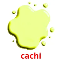 cachi flashcards illustrate