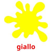 giallo picture flashcards