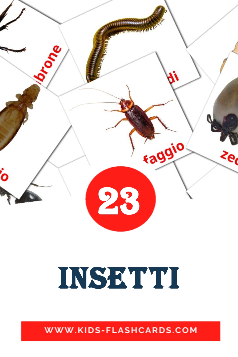 23 cartes illustrées de Insetti pour la maternelle en italien