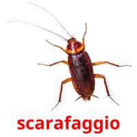 scarafaggio picture flashcards
