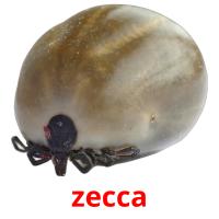 zecca card for translate