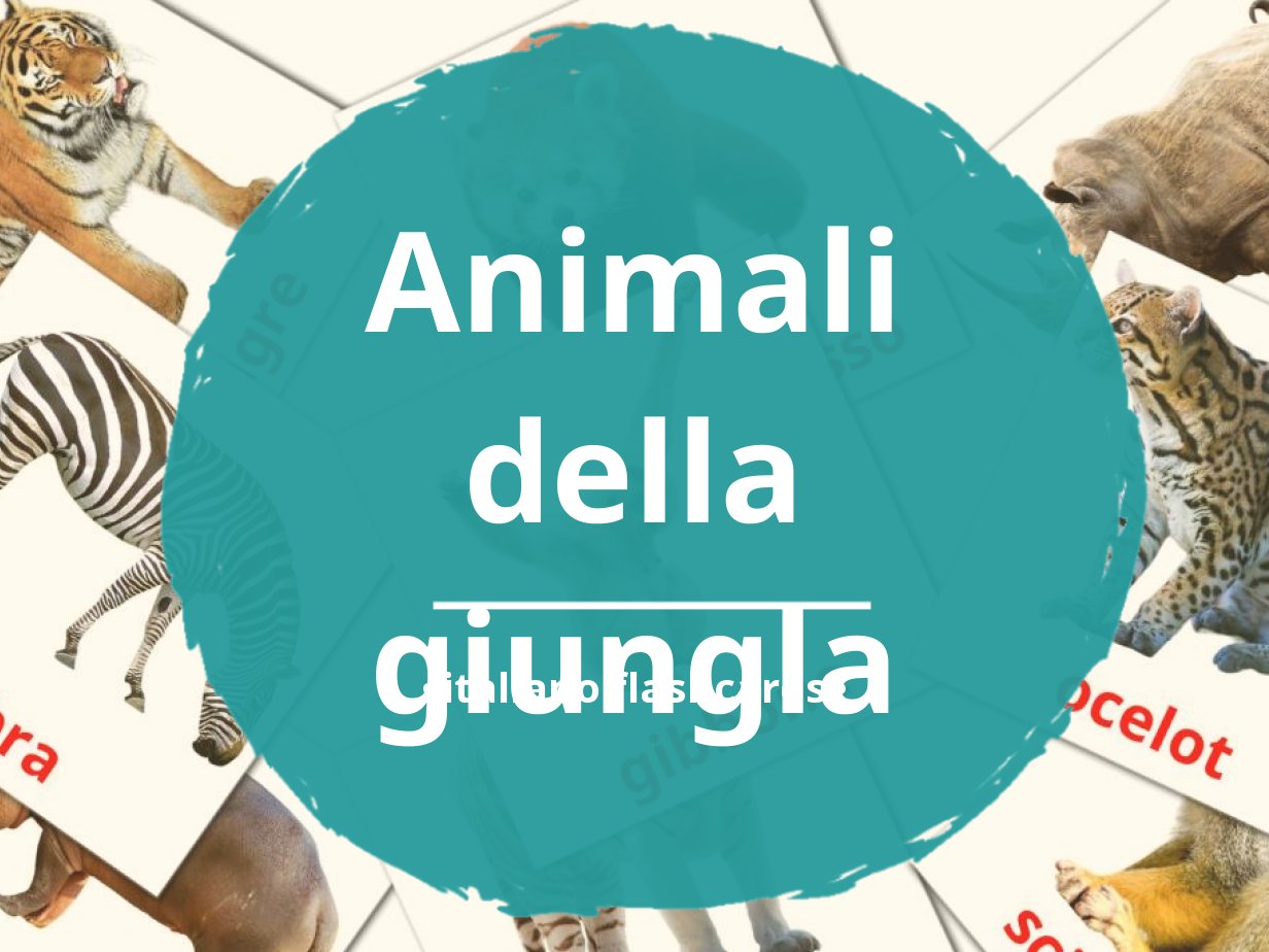 INSTANT Scarica. Clip Art animali della giungla 4. Uso personale e  commerciale. -  Italia