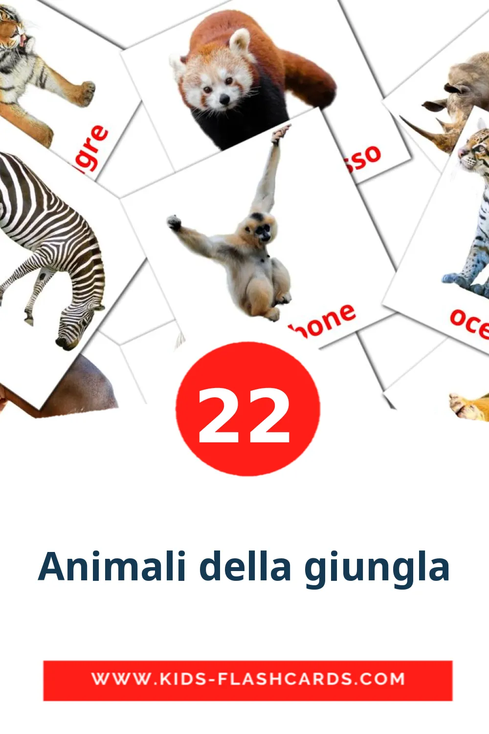 22 tarjetas didacticas de Animali della giungla para el jardín de infancia en italiano