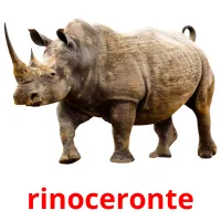 rinoceronte Tarjetas didacticas