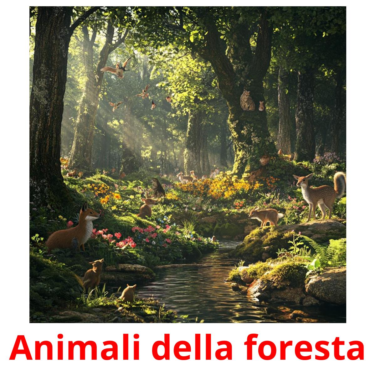 Animali della foresta flashcards illustrate