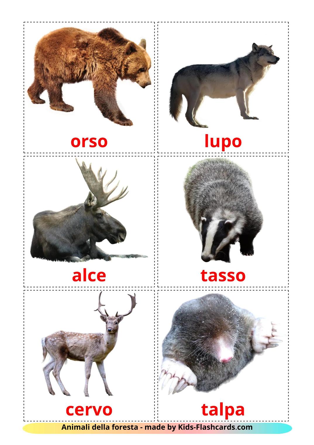 Forest animals - 23 Free Printable italian Flashcards 