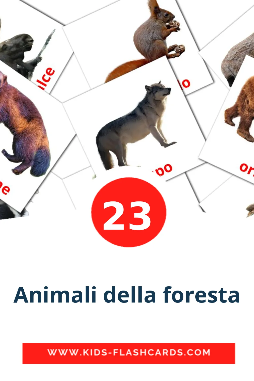 23 Animali della foresta Picture Cards for Kindergarden in italian