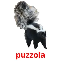 puzzola picture flashcards