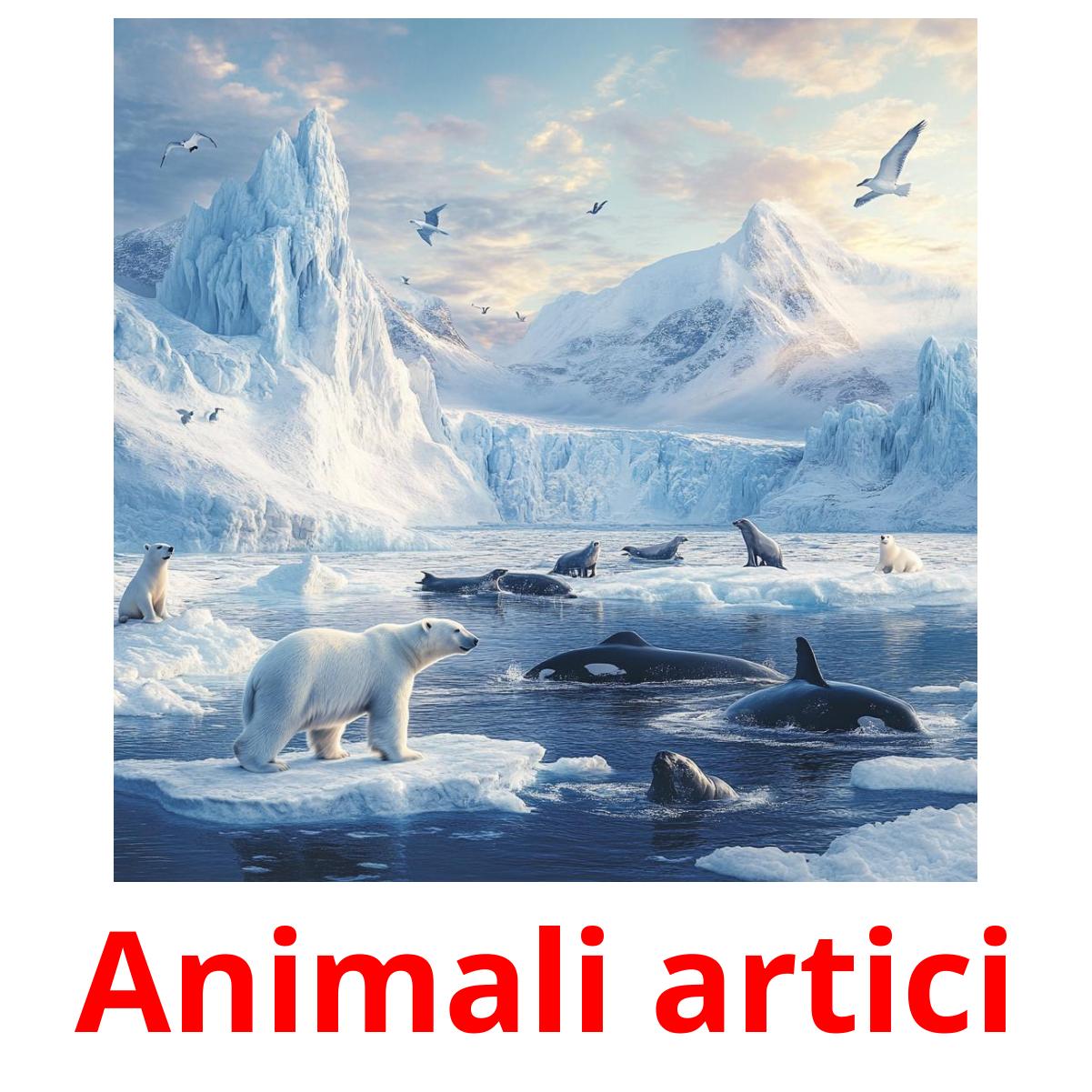 Animali artici flashcards illustrate