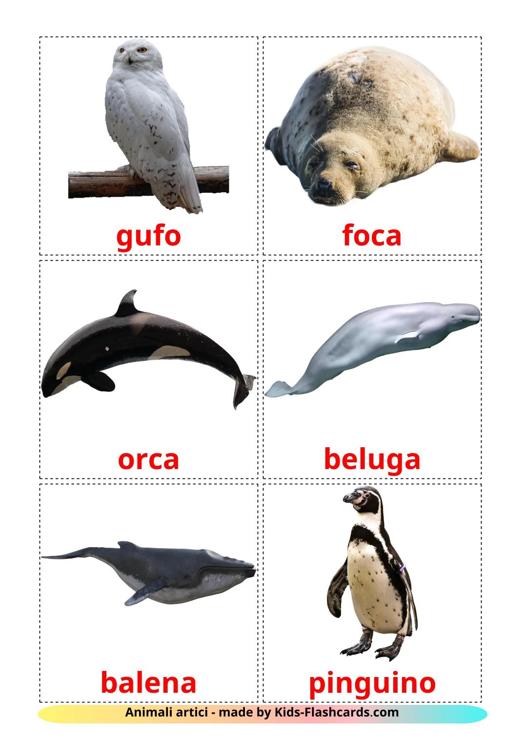 Animali artici - 15 flashcards italiano stampabili gratuitamente