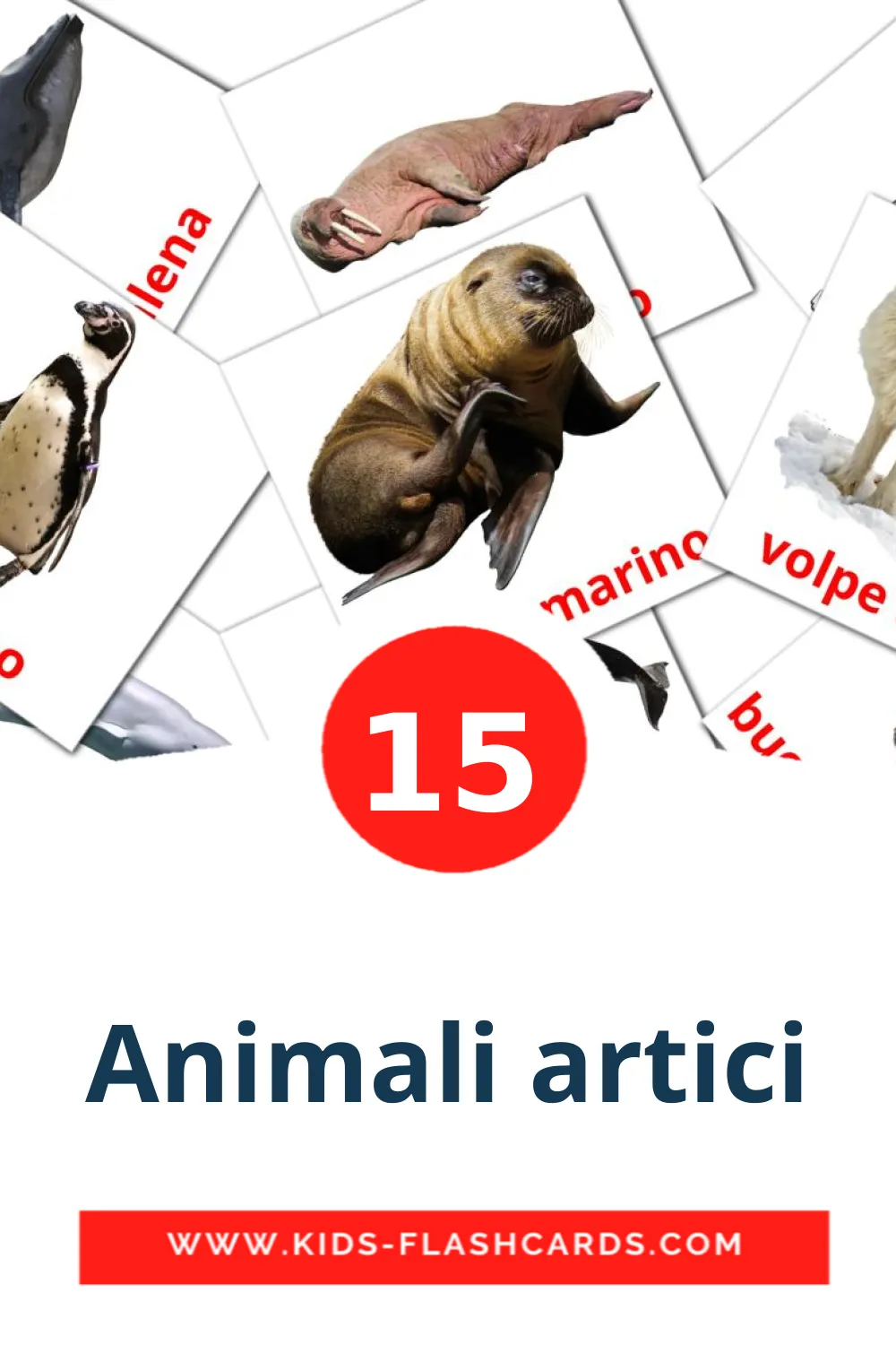 15 carte illustrate di Animali artici per la scuola materna in italiano