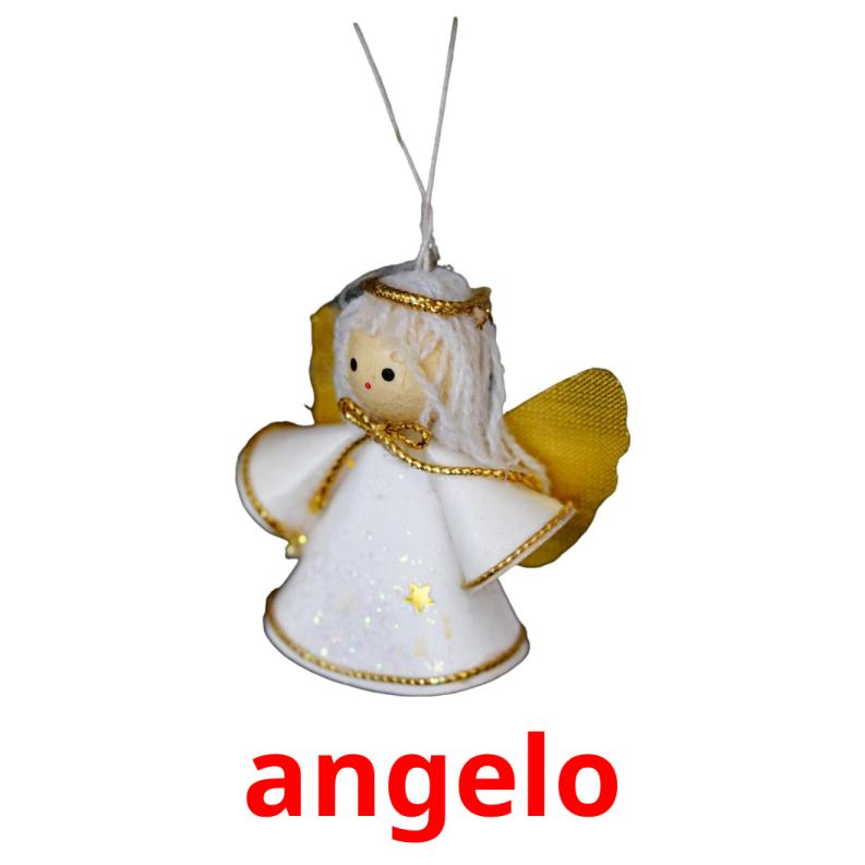 angelo picture flashcards