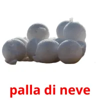 palla di neve flashcards illustrate