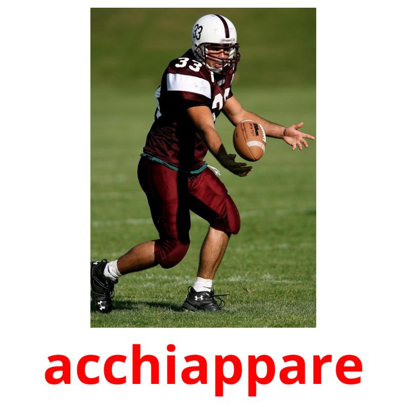 acchiappare picture flashcards