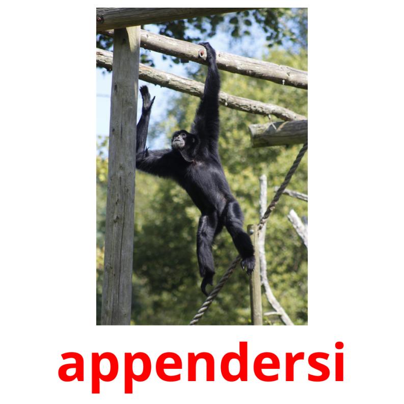 appendersi cartões com imagens