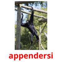 appendersi flashcards illustrate