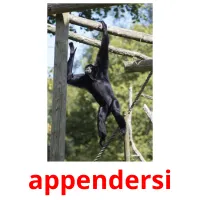 appendersi ansichtkaarten