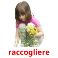 raccogliere ansichtkaarten