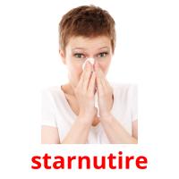 starnutire flashcards illustrate