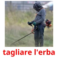 tagliare l'erba ansichtkaarten