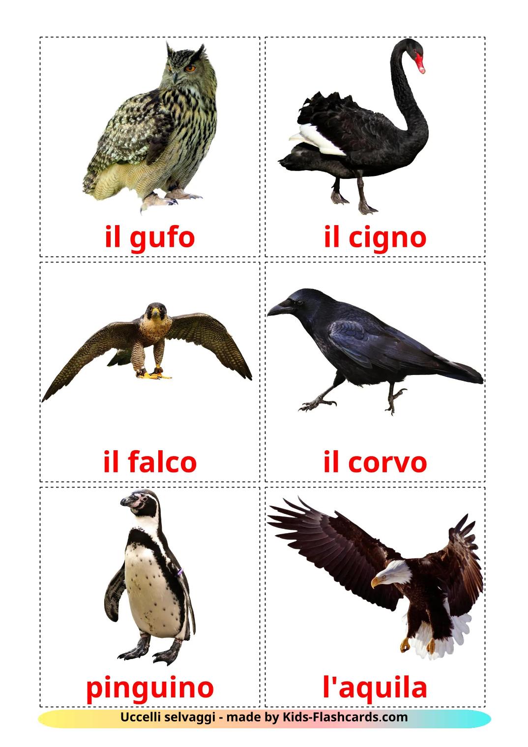 Uccelli selvaggi - 19 flashcards italiano stampabili gratuitamente