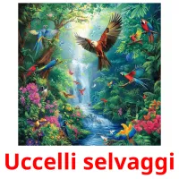 Uccelli selvaggi flashcards illustrate