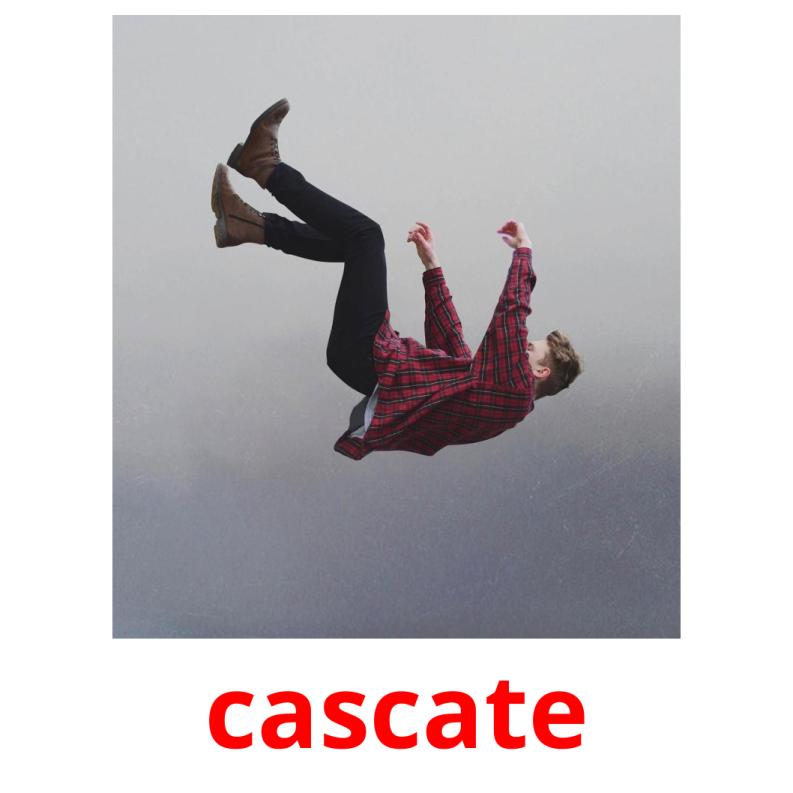 cascate picture flashcards