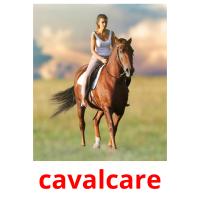 cavalcare picture flashcards