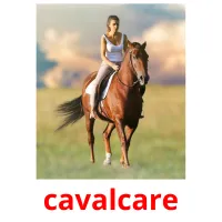 cavalcare ansichtkaarten