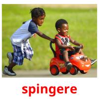 spingere picture flashcards