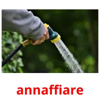 annaffiare ansichtkaarten