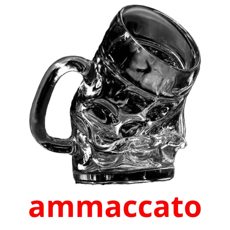 ammaccato flashcards illustrate