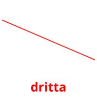 dritta flashcards illustrate