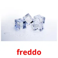 freddo ansichtkaarten