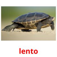 lento picture flashcards