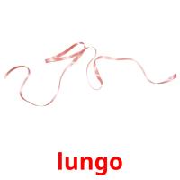lungo picture flashcards