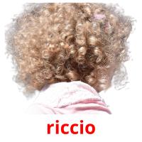 riccio picture flashcards