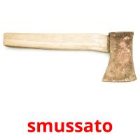 smussato flashcards illustrate