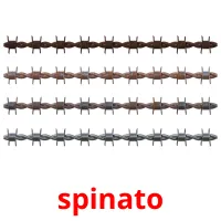 spinato ansichtkaarten