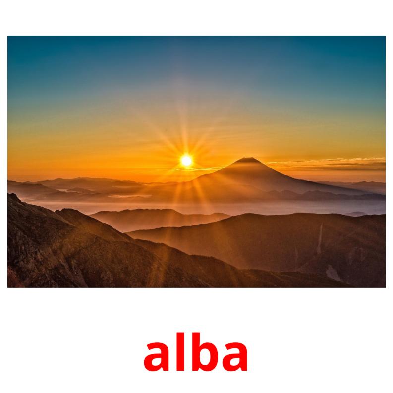 alba picture flashcards