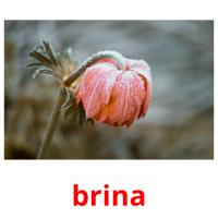 brina ansichtkaarten