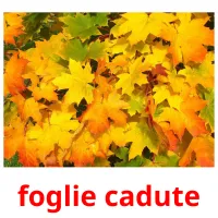 foglie cadute cartões com imagens