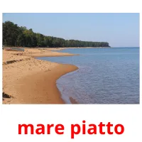 mare piatto cartões com imagens