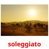 soleggiato cartões com imagens