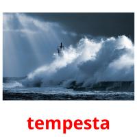tempesta card for translate